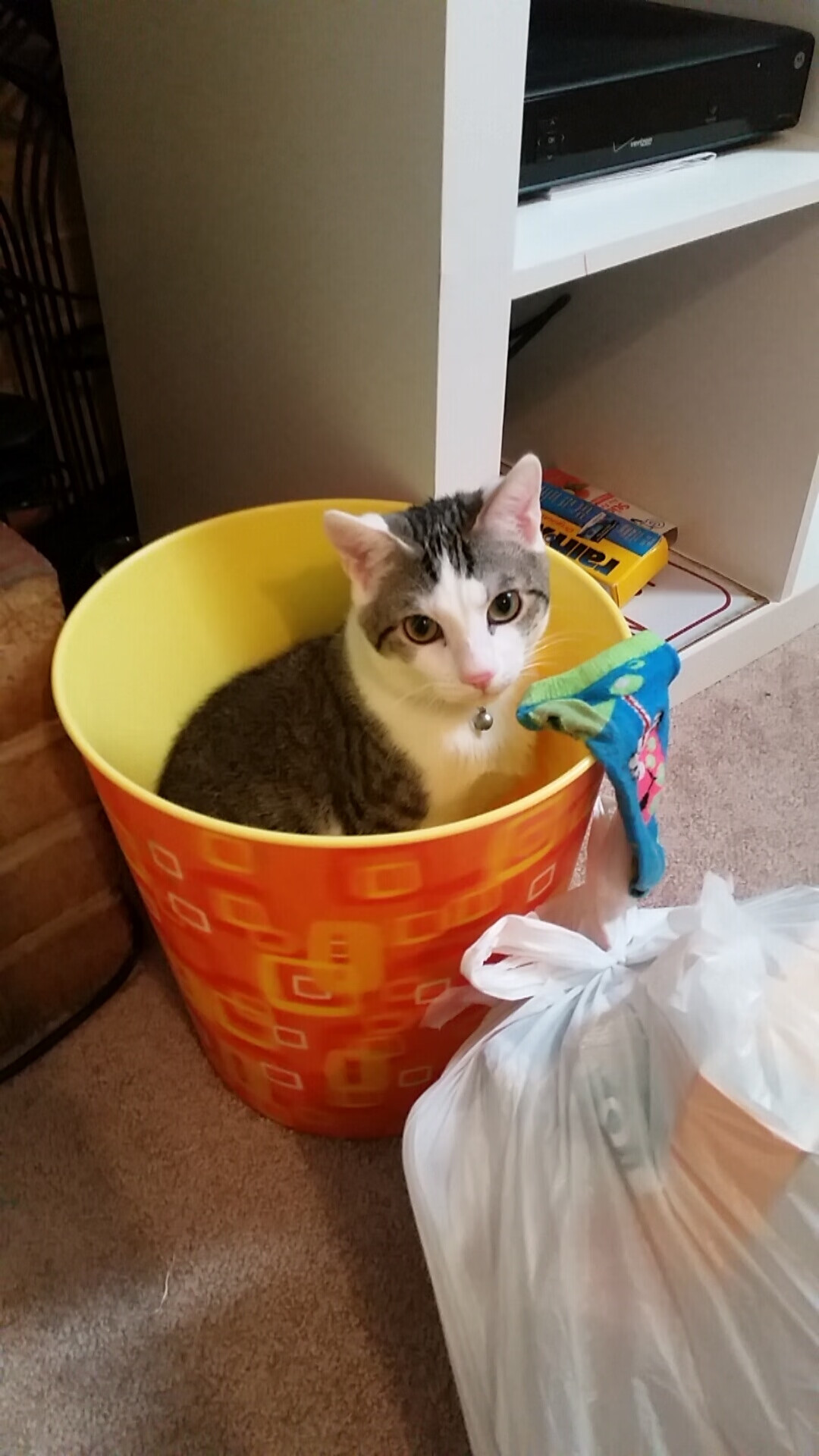 世界女足俱乐部排名更新，亚洲球队跃升，世界女足排面