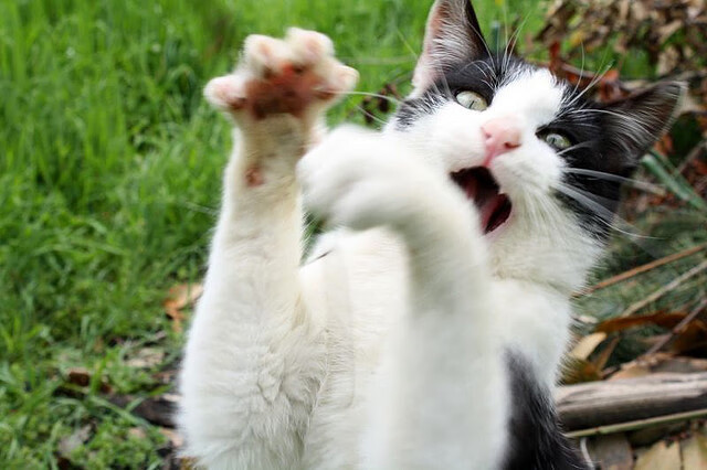 世界杯永恒瞬间:最令人心动的比赛片段,世界杯名场面